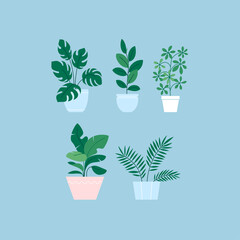 Set of flat illustrations of different houseplants