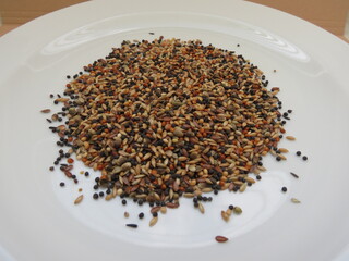 seed mix for wild birds