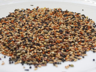 seed mix for wild birds