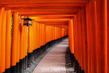 Torii gates Kyoto