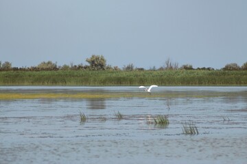 Vylkove, Ukraine: The Danube Biosphere Reserve
