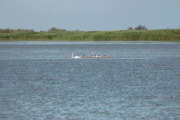 Vylkove, Ukraine: The Danube Biosphere Reserve