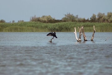 Vylkove, Ukraine: The Danube Biosphere Reserve