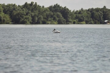 Vylkove, Ukraine: The Danube Biosphere Reserve
