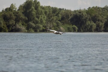 Vylkove, Ukraine: The Danube Biosphere Reserve