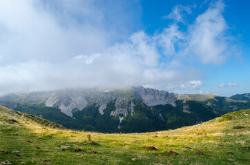 Fototapeta na wymiar Prato illuminato dal sole e montagne tra le nuvole