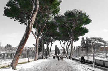 La via del roseto di Roma con la neve