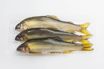 夏の味覚　鮎