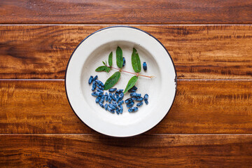 honeysuckle berries, green leaves in a white plate on a background of dark succupira wood
