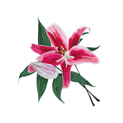 Векторный файл. Цветок в ярких цветах, можно использовать как принт на одежду или иллюстрация чего угодно. 