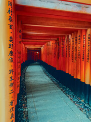 Thousand Torii gates at Fushimi Inori in Kyoto, Japan