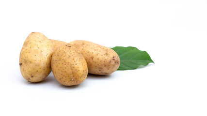 Potato on white background