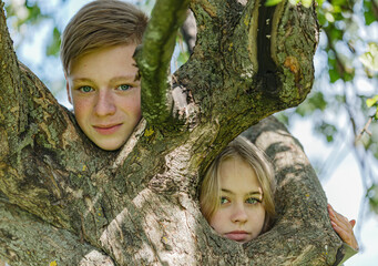 Two teenagers look out through a tree trunk © jura