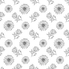 Hand drawn seamless pattern with wildflowers. Black and white doodles with chamomile flowers. Monochrome floral elements. Vector illustration.