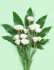 White flowers on a light green background top view