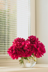 Beautiful red burgundy peonies by the window on light background. Selective focus copy space. Vertical frame