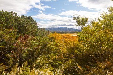General view of the geyser valley in the afternoon