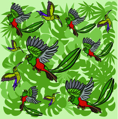 The drawing shows a pattern of hummingbirds, parrots and palm leaves.