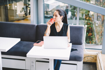 Attractive young female journalist working on freelance drinking coffee while using laptop computer for creating article and updating content on website, charming businesswoman resting during job