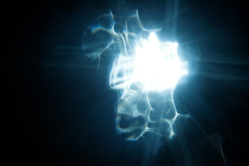 Easy to add lens flare effects for overlay designs or screen blending mode to make high-quality...