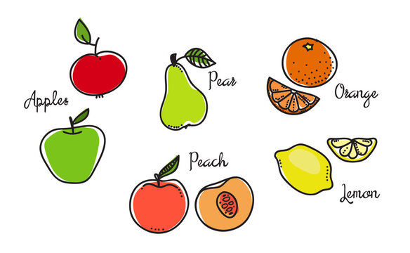 fruits color-1