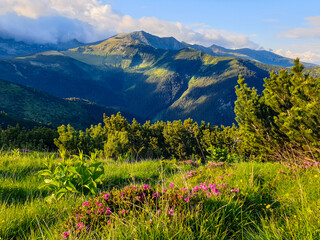 Beautiful view to Retezat Mountains from Piule Iorgovanu Mountains, Romania