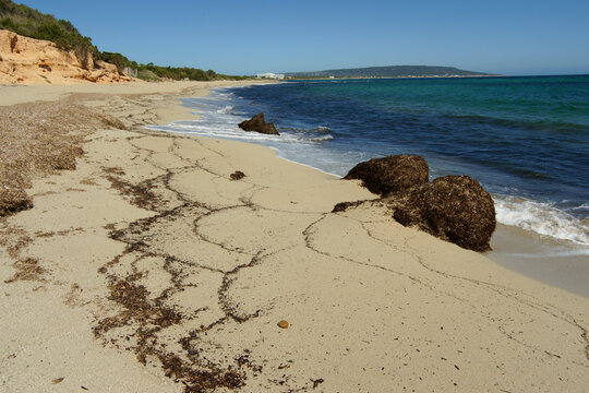 Playa de Mitjorn.Formentera.Islas Pitiusas.Baleares.Espa&ntilde;a.