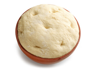 bowl of dough
