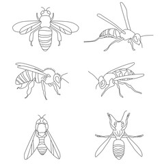 Honey bee bumble bees wasps set doodle style collection.Insert in different poses.Wings emblem symbols.Hand drawn vector engraving illustration for honey jar label,food packaging,apiary logo,signboard
