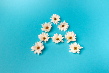 The letter A is laid out with daisies on a blue background