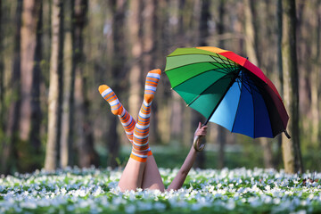 Sexy girl's legs in striped socks and the rainbow umbrella in hand are popping up from the grass. In forest meadow covered white flower in sunny spring day.