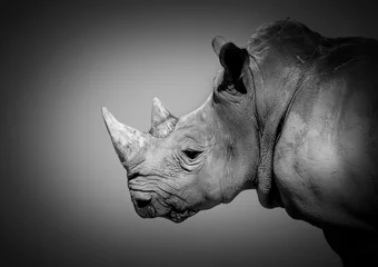 Zelfklevend Fotobehang rhinoceros head portrait black and white picture © santiago silver