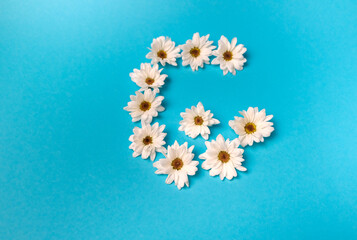 The letter G is laid out with daisies on a blue background