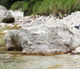 Am Ufer 05