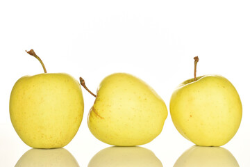 Yellow apples, close-up, on a white background.