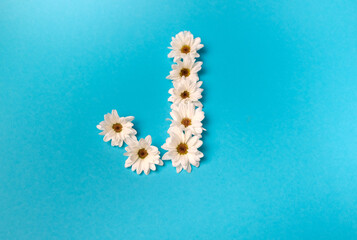 The letter J is laid out with daisies on a blue background