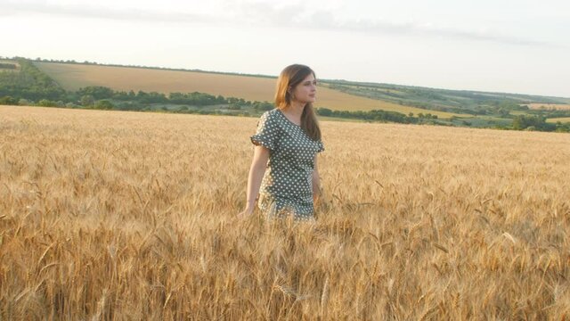 beautiful girl in dress walking on field of spikelets in ripe golden wheat, young pretty woman enjoying rural landscape, happiness and freedom emotion