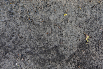 texture and background of cracked earth, soaked by the rain