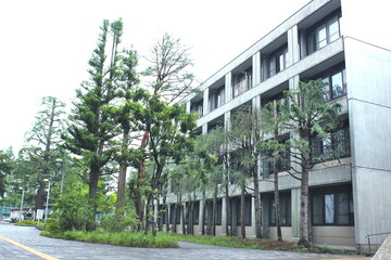 Fototapeta na wymiar 東北大学川内キャンパス　講義棟と樹木