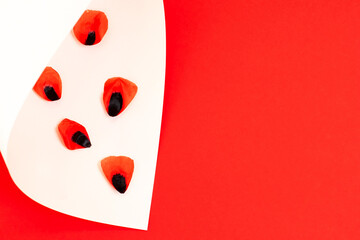 A poppy flower petal on a paper white and red background. Minimal trendy concept of the beggining new life, the danger of drug addiction, nature.