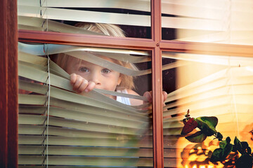 Child, toddler boy, looking through window