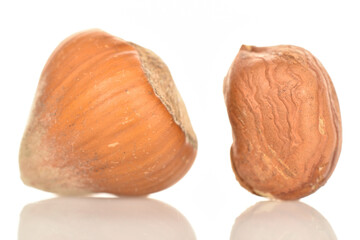 Hazelnuts, macro, on a white background.