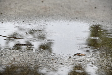 水たまり,波紋, 水, 自然, 波, 質感,反射,池,雨滴,円,雫,滴雨の