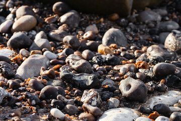 Smooth wet beach stones. North of France, Normandy. Background texture