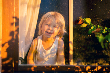 Child, toddler boy, looking through window