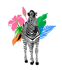 zebra with tropical leaves. Tropical jungle foliage illustration. Summer beach design. Paradise nature.