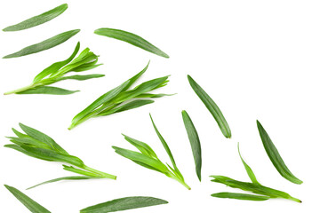 Tarragon leaves isolated on white background. Artemisia dracunculus. top view