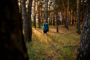 Obraz premium rear view of woman with backpack and sticks in her hands in the forest
