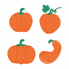 Pumpkin set. Orange pumpkins of various shapes and sizes. Autumn harvest. For halloween and thanksgiving day design. Flat vector doodle cartoon elements