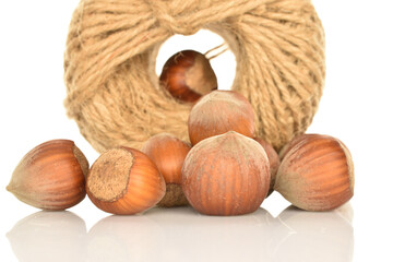 Hazelnuts, macro, on a white background.